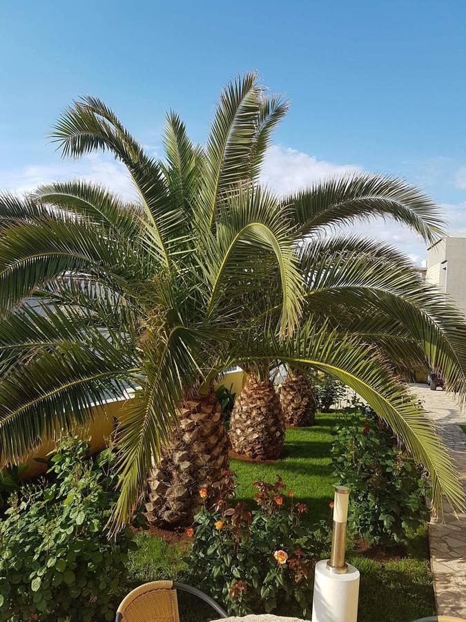 Apartments Vila Ana ヴィル エクステリア 写真